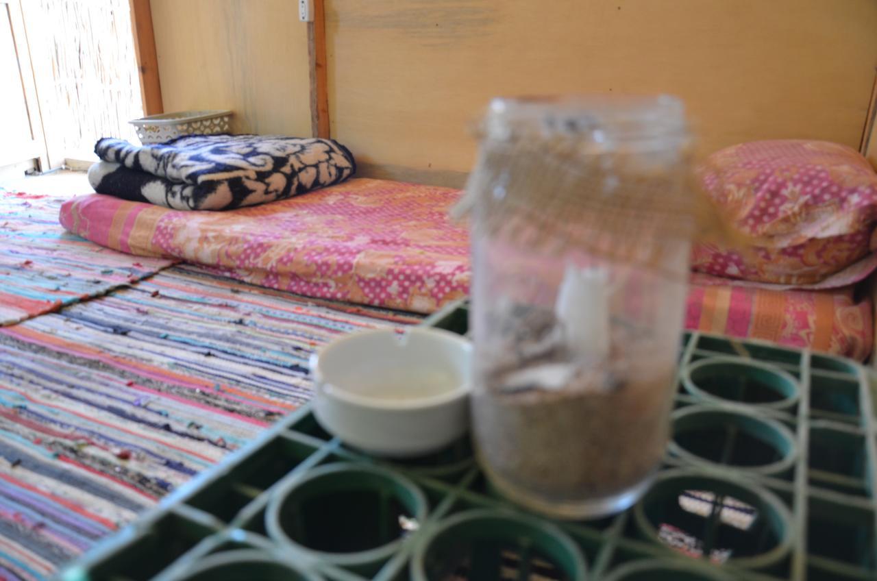 Готель Sakratah Camp - Eco Friendly Таба Екстер'єр фото